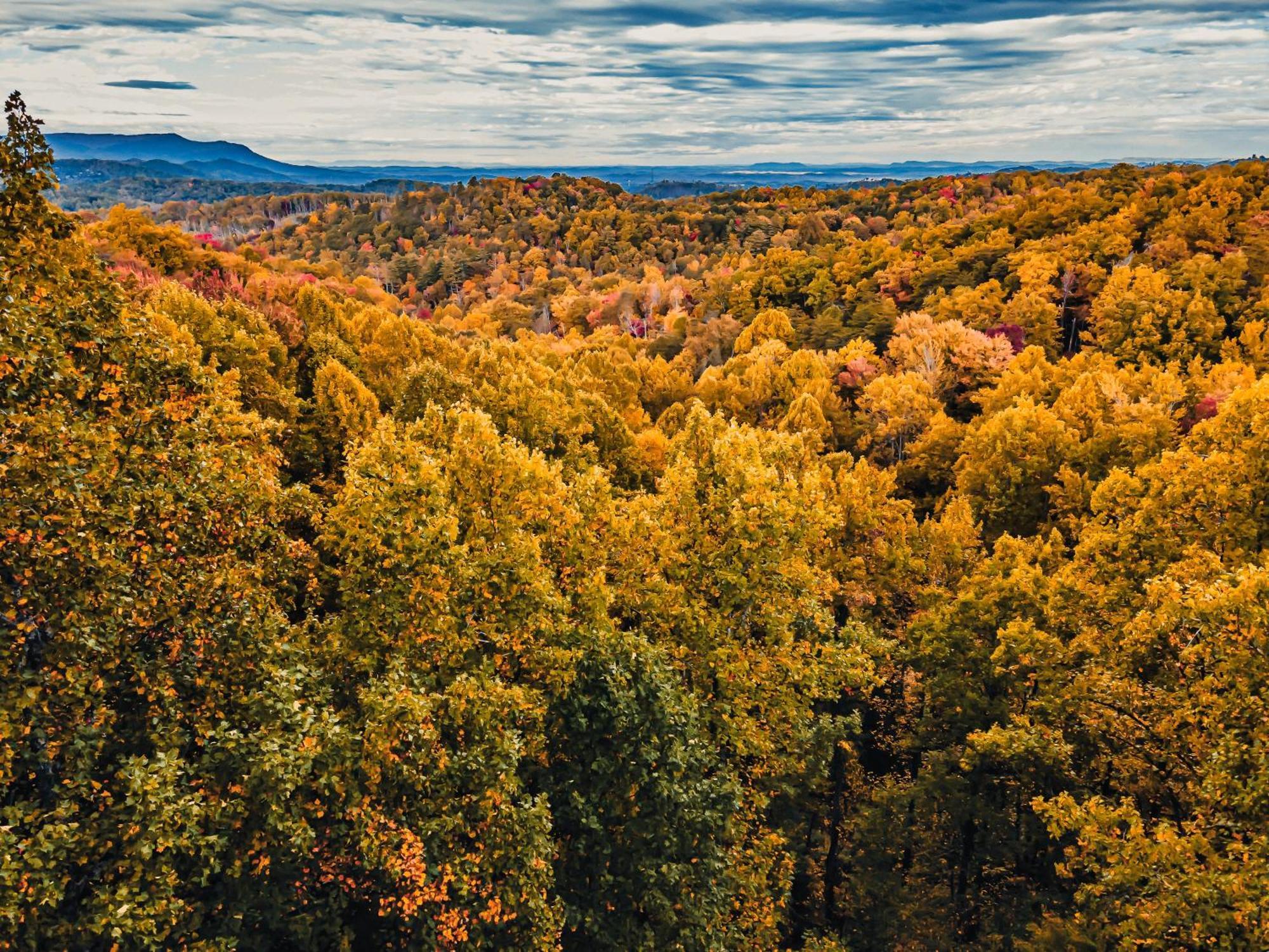 Willa Secluded Mtn View New! 10 Mins To Gatlinburg Or Park Zewnętrze zdjęcie